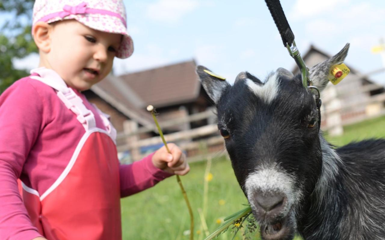 ottingerhof_shorcuts-biohof2